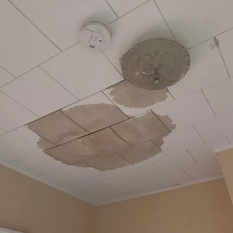 Ceiling Water Damage Repair in Medford, MN